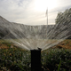 Illustration for article titled Finally! California Just Issued Mandatory State Water Restrictions
